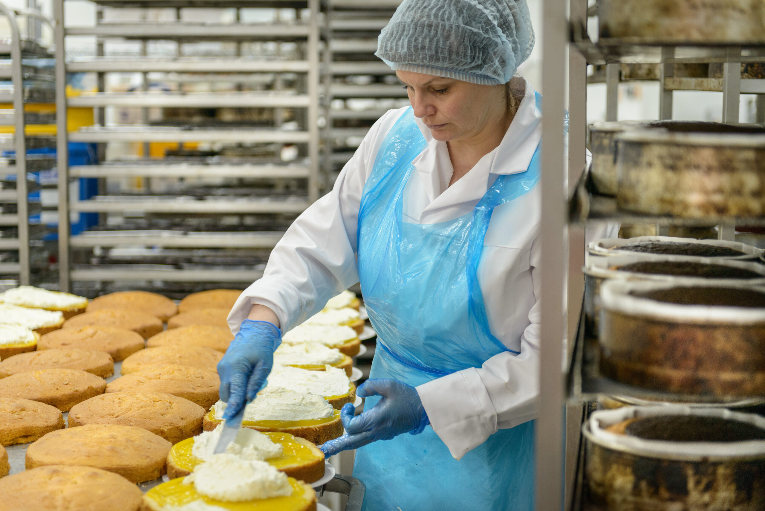 cake 2024 10 21 12 23 33 utc scaled